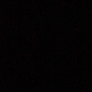 Meet your Posher, Josie